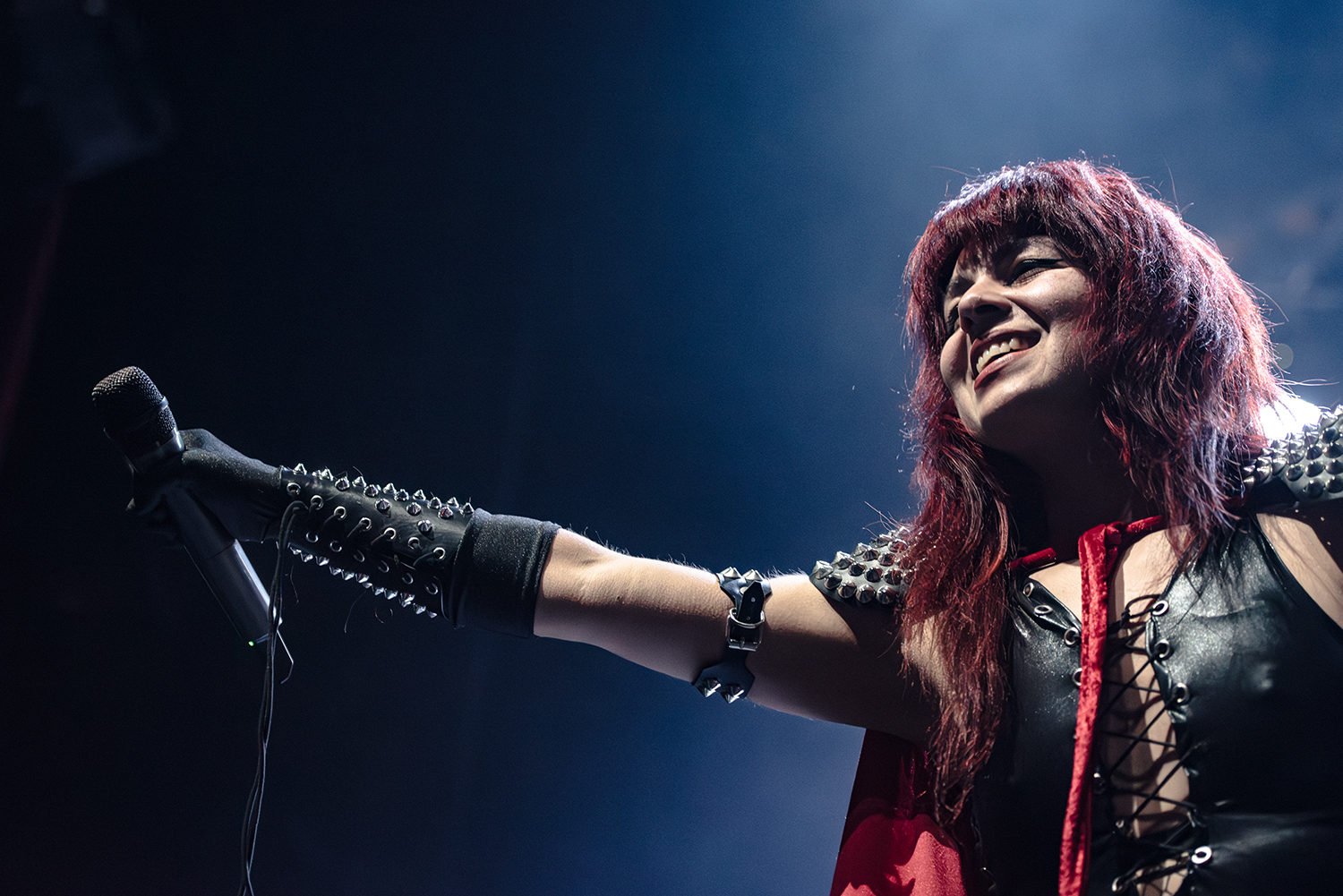 Dirkschneider - Balls to the Wall 40th Anniversary